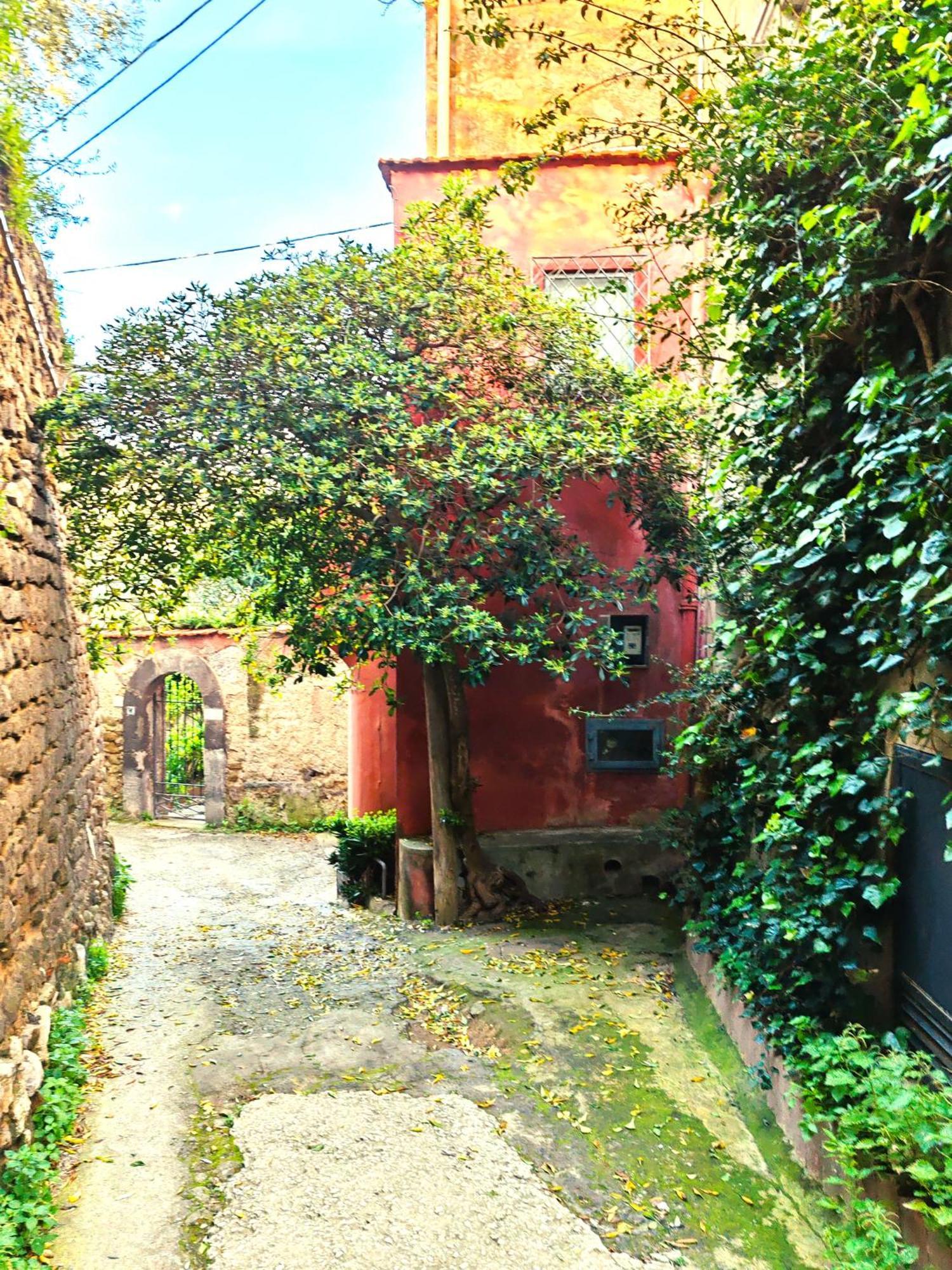 Mediterranea E Casa Del Capricorno Charming Houses Massa Lubrense Exterior photo